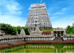 Govindarajan Temple